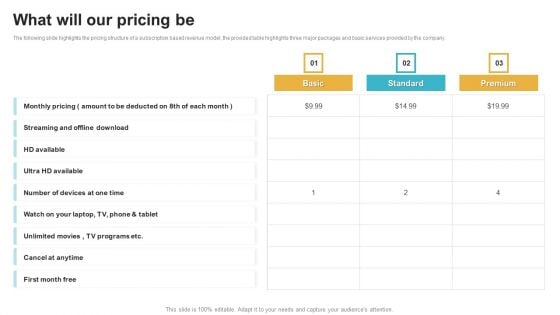 Saas Continuous Income Generation Model For Software Startup What Will Our Pricing Be Themes PDF