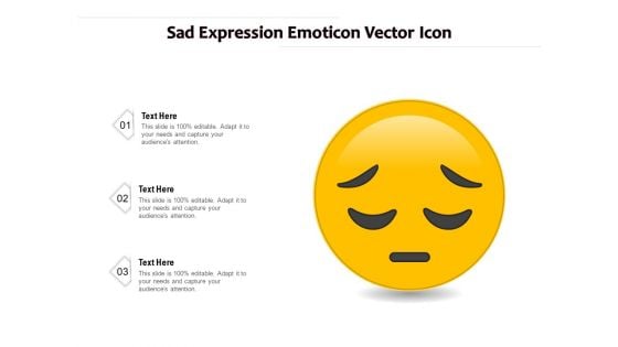 Sad Expression Emoticon Vector Icon Ppt PowerPoint Presentation Pictures Topics PDF