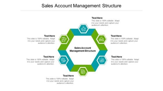 Sales Account Management Structure Ppt PowerPoint Presentation Icon Layout Cpb Pdf