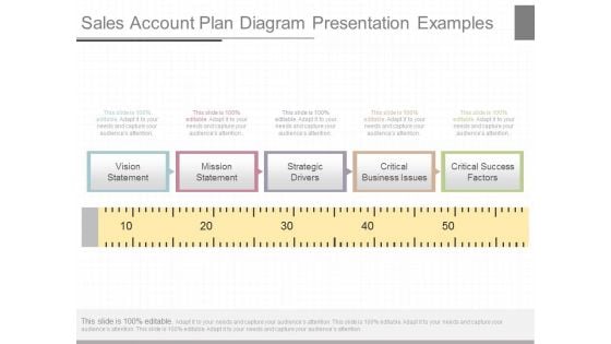 Sales Account Plan Diagram Presentation Examples