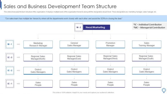 Sales And Business Development Team Structure Infographics PDF