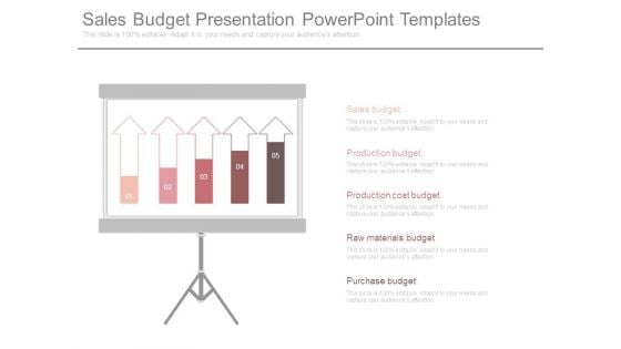 Sales Budget Presentation Powerpoint Templates