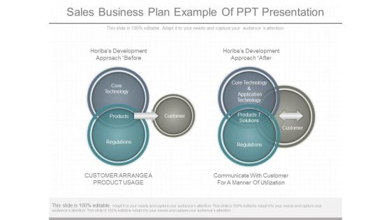 Sales Business Plan Example Of Ppt Presentation