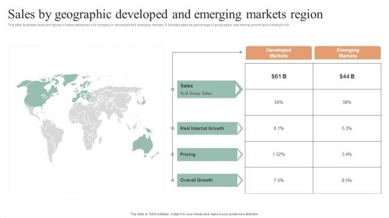 Sales By Geographic Developed And Emerging Markets Region Inspiration PDF