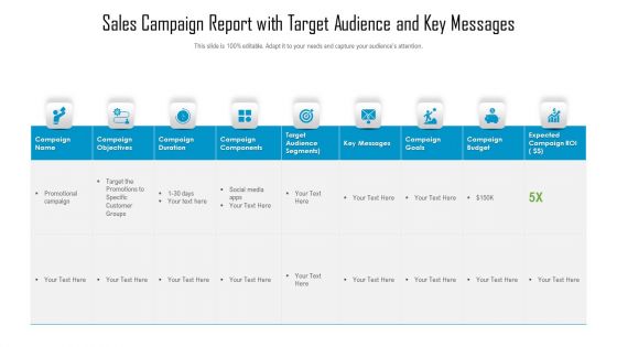 Sales Campaign Report With Target Audience And Key Messages Ppt Model Aids PDF