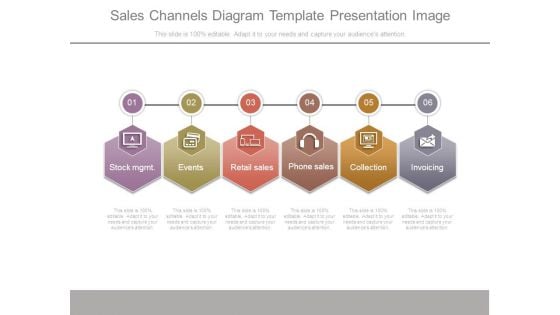 Sales Channels Diagram Template Presentation Image