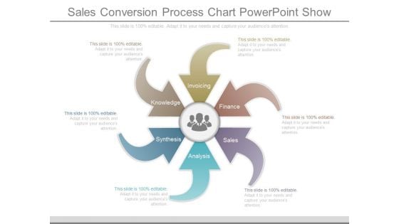 Sales Conversion Process Chart Powerpoint Show