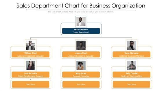 Sales Department Chart For Business Organization Ppt PowerPoint Presentation File Tips PDF