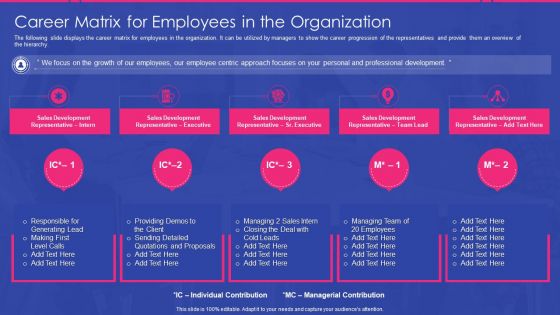 Sales Development Representative Playbook Career Matrix For Employees In The Organization Introduction PDF