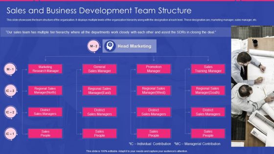 Sales Development Representative Playbook Sales And Business Development Team Structure Elements PDF