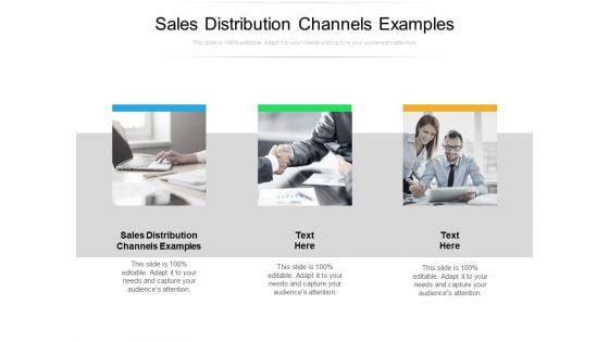 Sales Distribution Channels Examples Ppt PowerPoint Presentation Ideas Outfit Cpb Pdf