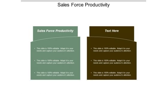 Sales Force Productivity Ppt Powerpoint Presentation Pictures Cpb