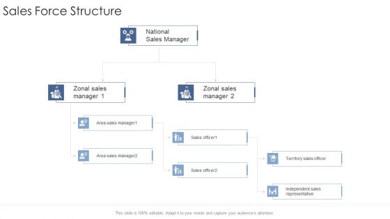 Sales Force Structure Startup Business Strategy Ppt Model Sample PDF