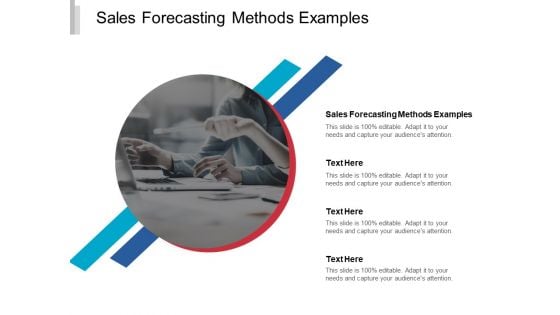 Sales Forecasting Methods Examples Ppt PowerPoint Presentation Professional Graphics Pictures Cpb