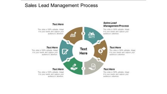 Sales Lead Management Process Ppt PowerPoint Presentation Professional Slide Download Cpb