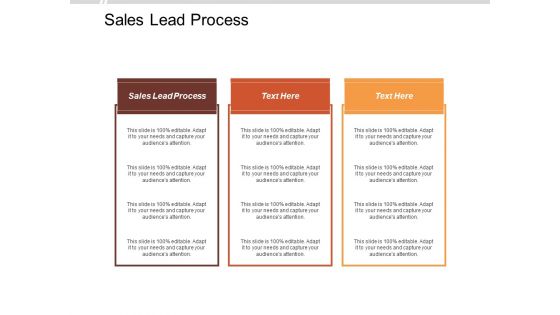 Sales Lead Process Ppt Powerpoint Presentation Gallery Brochure Cpb