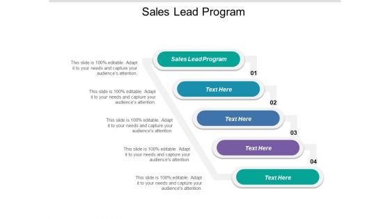 Sales Lead Program Ppt PowerPoint Presentation Ideas Picture Cpb