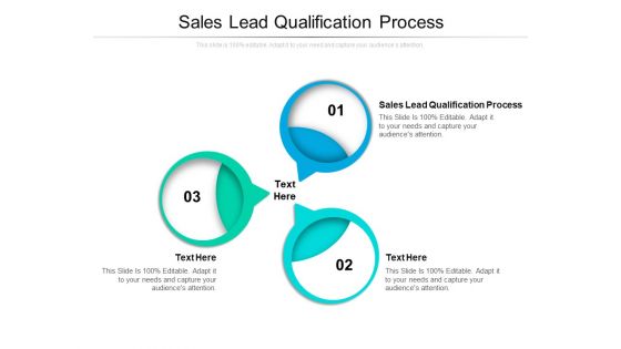 Sales Lead Qualification Process Ppt PowerPoint Presentation Professional Files Cpb Pdf