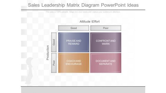 Sales Leadership Matrix Diagram Powerpoint Ideas