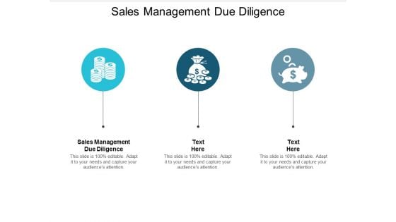 Sales Management Due Diligence Ppt PowerPoint Presentation Slides Samples Cpb