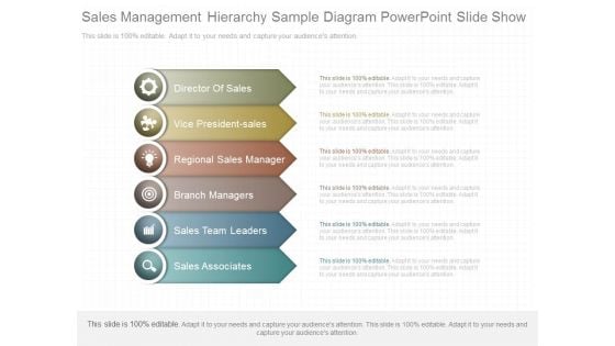 Sales Management Hierarchy Sample Diagram Powerpoint Slide Show