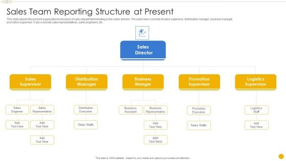 Sales Management Playbook Sales Team Reporting Structure At Present Introduction PDF