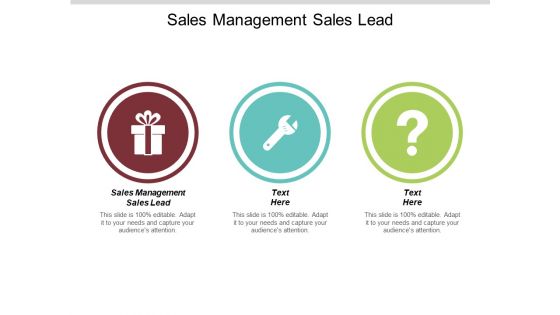 Sales Management Sales Lead Ppt PowerPoint Presentation Show Tips Cpb