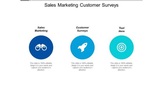 Sales Marketing Customer Surveys Ppt PowerPoint Presentation Ideas Picture