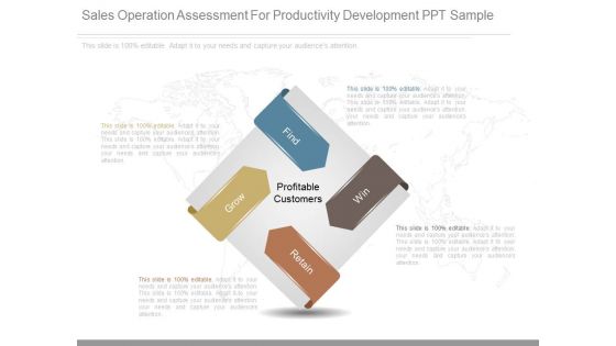 Sales Operation Assessment For Productivity Development Ppt Sample