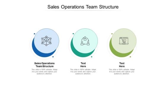 Sales Operations Team Structure Ppt PowerPoint Presentation Summary Gallery Cpb