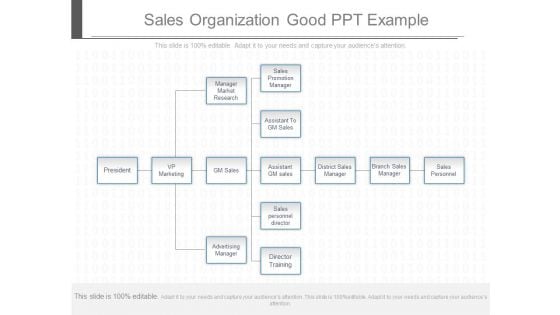 Sales Organization Good Ppt Example