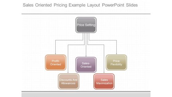 Sales Oriented Pricing Example Layout Powerpoint Slides