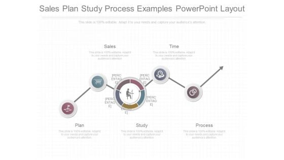 Sales Plan Study Process Examples Powerpoint Layout