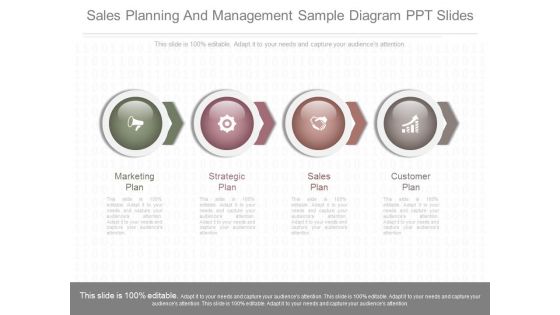 Sales Planning And Management Sample Diagram Ppt Slides