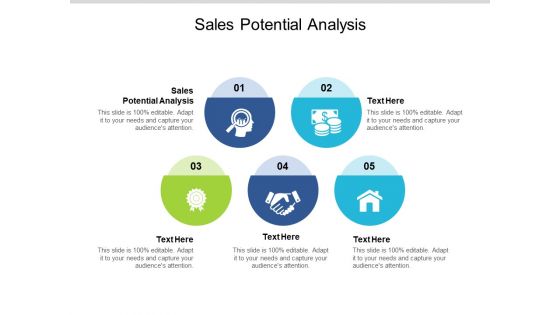 Sales Potential Analysis Ppt PowerPoint Presentation Portfolio Icons Cpb