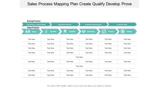Sales Process Mapping Plan Create Qualify Develop Prove Ppt PowerPoint Presentation Outline Format
