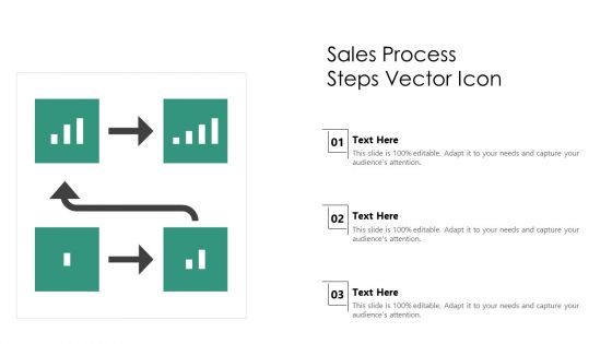 Sales Process Steps Vector Icon Ppt PowerPoint Presentation Styles Deck PDF