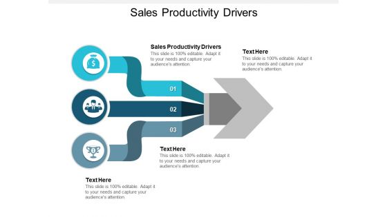 Sales Productivity Drivers Ppt PowerPoint Presentation Slides Picture Cpb