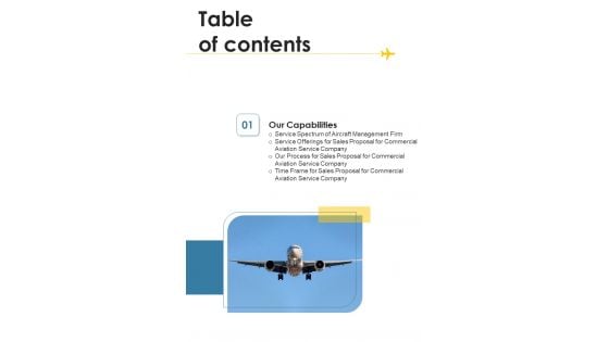 Sales Proposal For Commercial Aviation Service Company Table Of Contents One Pager Sample Example Document