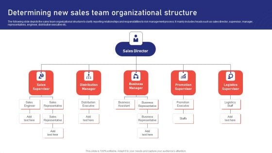 Sales Risk Assessment For Profit Maximization Determining New Sales Team Organizational Structure Structure PDF