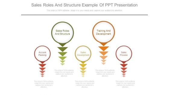 Sales Roles And Structure Example Of Ppt Presentation