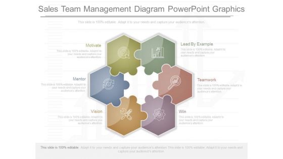 Sales Team Management Diagram Powerpoint Graphics