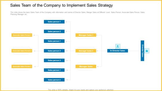 Sales Team Of The Company To Implement Sales Strategy Demonstration PDF Sales Team Of The Company To Implement Sales Strategy Demonstration PDF