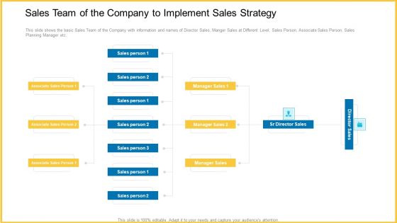 Sales Team Of The Company To Implement Sales Strategy Demonstration PDF