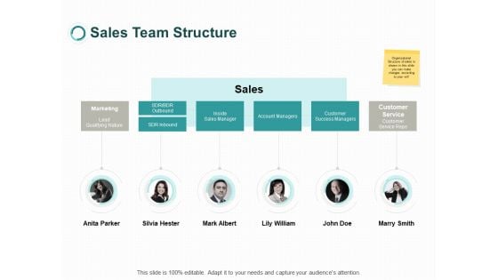 Sales Team Structure Marketing Ppt PowerPoint Presentation Outline Vector