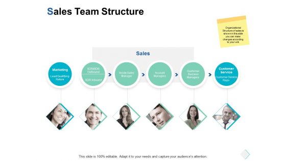 sales team structure ppt powerpoint presentation gallery introduction sales team structure ppt powerpoint presentation gallery introduction