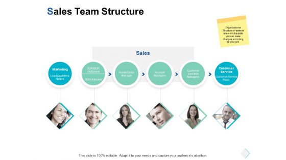 sales team structure ppt powerpoint presentation gallery introduction