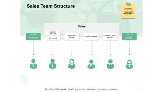 Sales Team Structure Ppt PowerPoint Presentation Model Themes