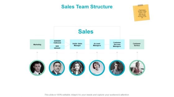 Sales Team Structure Strategy Ppt PowerPoint Presentation Portfolio Maker