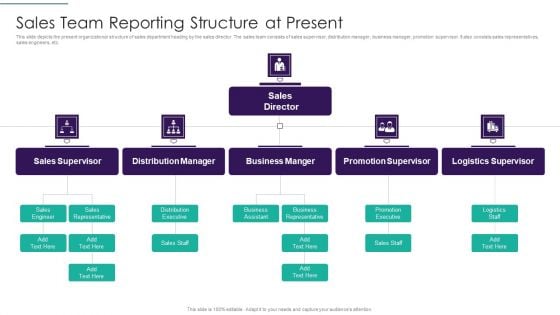 Sales Techniques Playbook Sales Team Reporting Structure At Present Portrait PDF